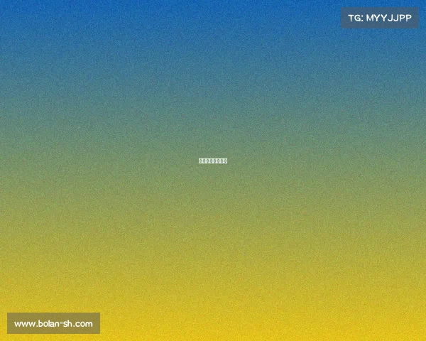 篮网最新赛事预测